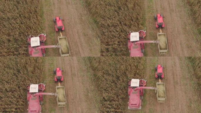 饲草收割机上的农民在拖拉机拖车中取出干玉米
