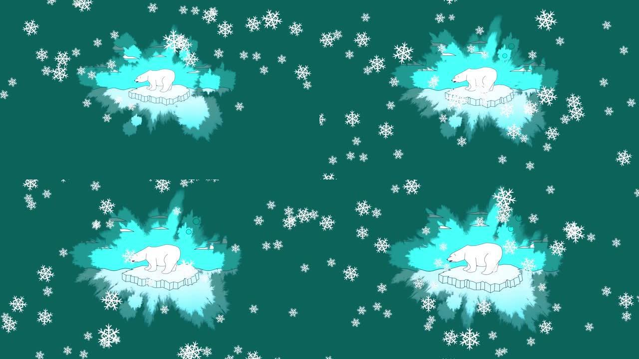 雪花在绿色背景下落在冰山上的北极熊上的数字动画