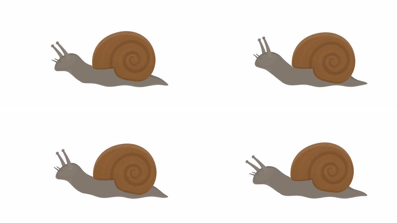 蜗牛。动物鼻涕虫的动画。卡通