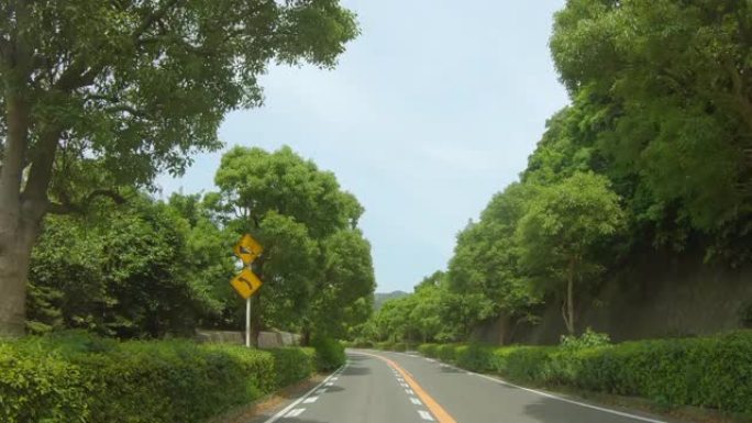 神奈川县一条清新绿色美丽的道路