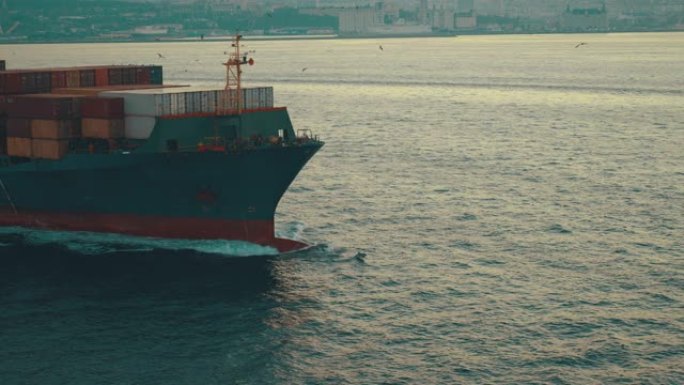 海豚的无人机镜头在伊斯坦布尔博斯普鲁斯海峡的货船前跳跃