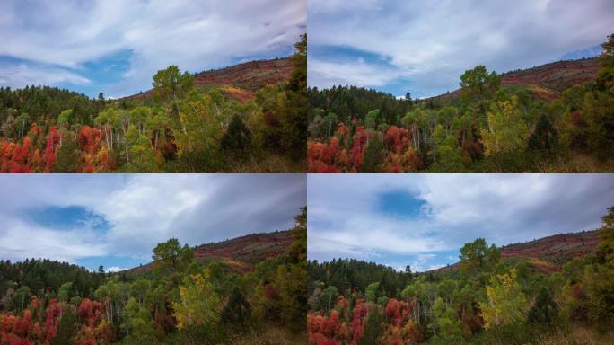 延时-令人惊叹的森林山地景观，令人惊叹的秋叶和蓝云的天空