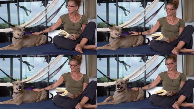 沙发上的女主人和宠物救援犬肖像
