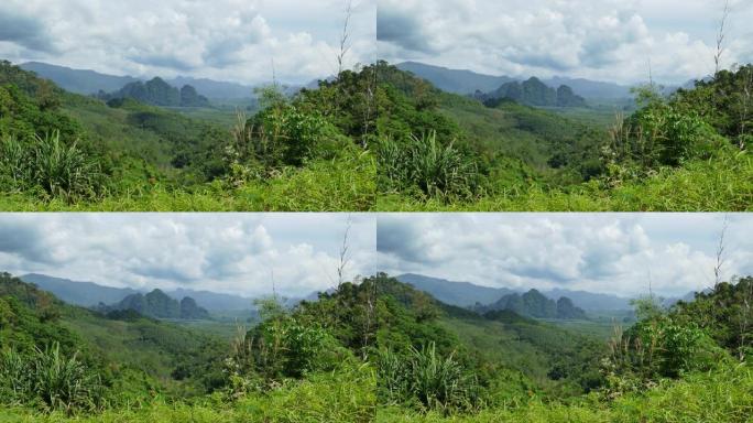 泰国考索克国家公园的雨林