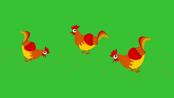 母鸡在绿色背景的bar中啄食种子-动画