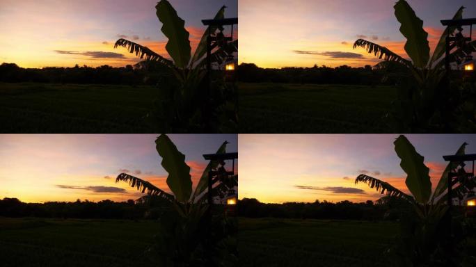 日落天空巴厘岛长谷区稻田全景4k印度尼西亚