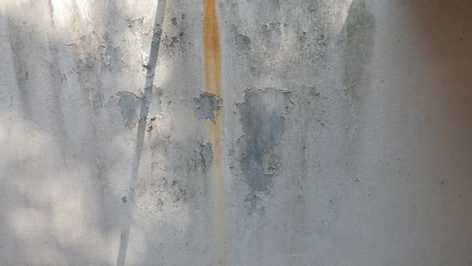 污浊白色混凝土水泥墙背景上的bokeh自然阳光阴影水滴覆盖