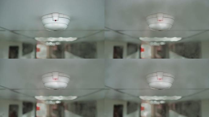 公共场所的烟雾报警器。带有烟雾和光线的动画。光的频率从慢到快闪烁。主题在中间。