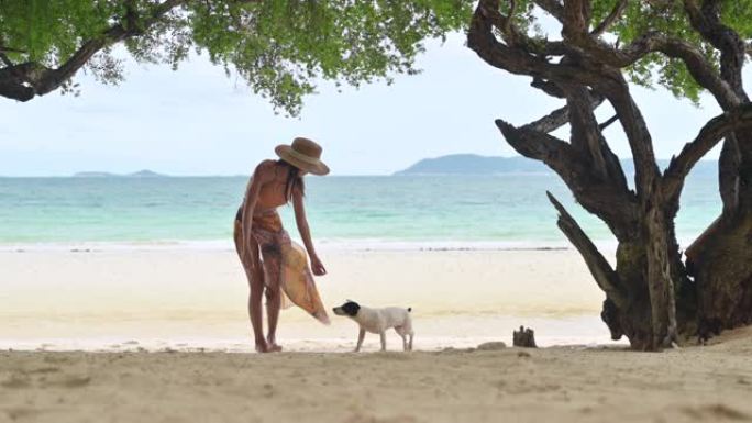 夏天的海上旅行