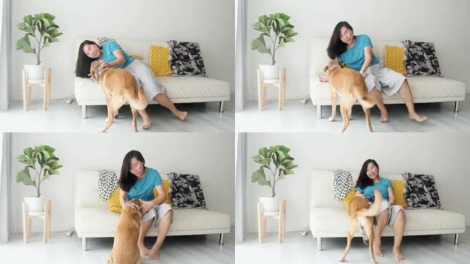 女人在家沙发上玩棕色狗，生活方式概念。