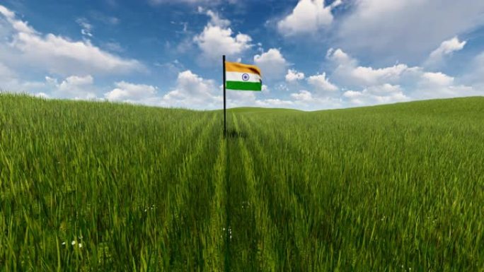 草地上有乌云密布的印度国旗