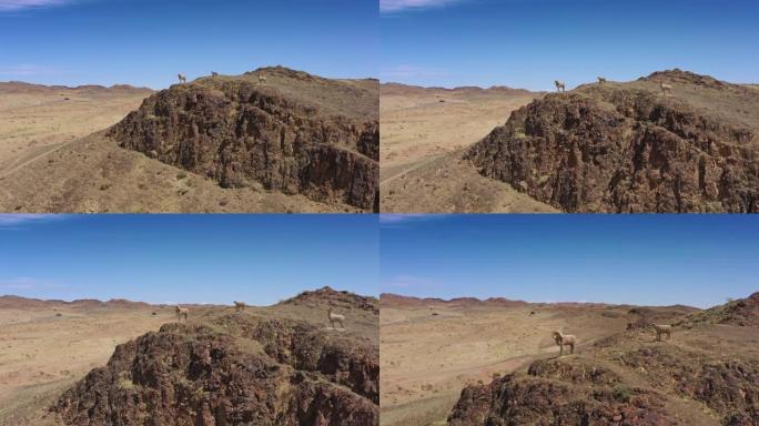 蒙古国的羊雕像和山地景观