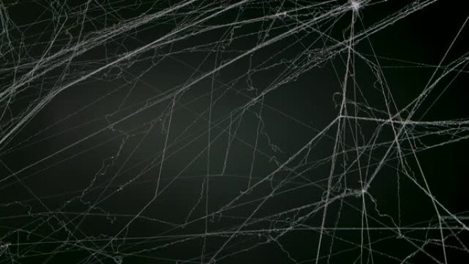 黑色工作室背景上的怪异蜘蛛网。万圣节之夜的庆祝装饰品。特写。慢动作