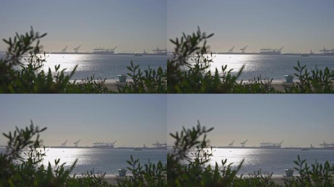 加州晴朗的晴天。美国长滩货运港口景观。阳光照耀着海洋的桦树水。