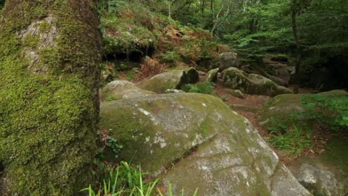 Devil Rocks，Querrien，Finistere department，Brittany