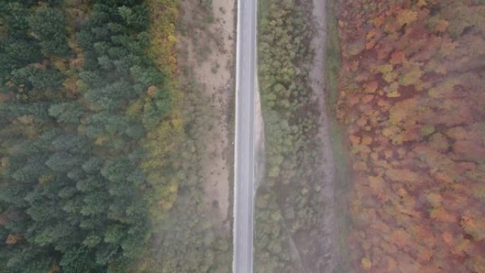 秋季天线。秋天，空中公路穿越蜿蜒的山路，汽车驶过五颜六色的森林。