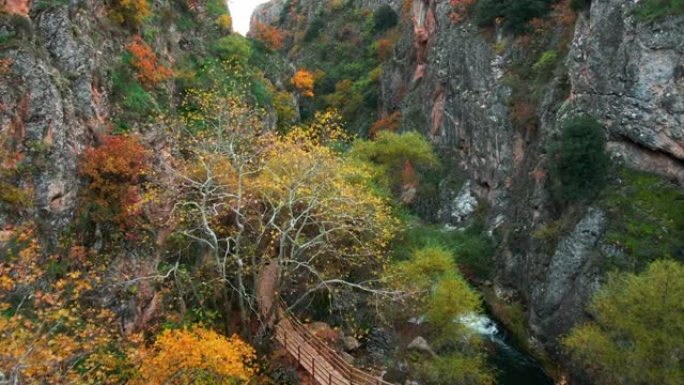秋天的峡谷石头大树大山