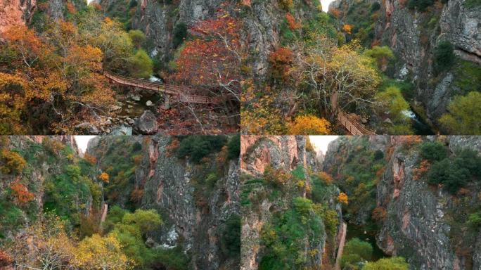 秋天的峡谷石头大树大山