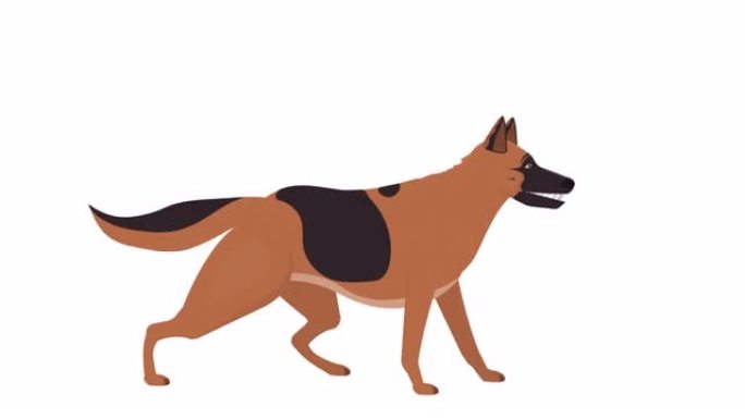 德国牧羊犬。警犬吠叫的动画。卡通