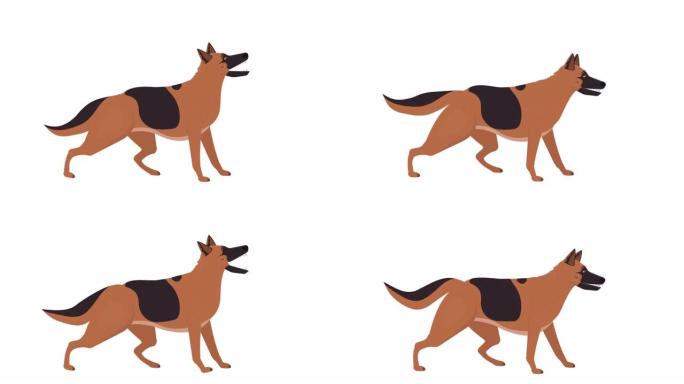 德国牧羊犬。警犬吠叫的动画。卡通