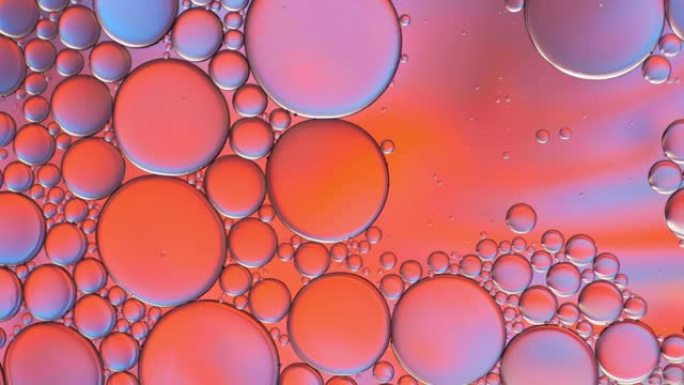 漂浮在水面上的油滴的多彩艺术。抽象气泡背景