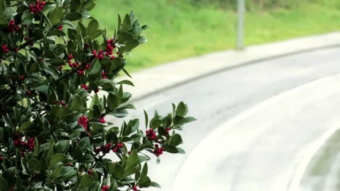 霍利雨路