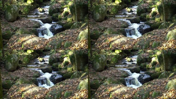 秋天的森林溪流溪水清泉泉水