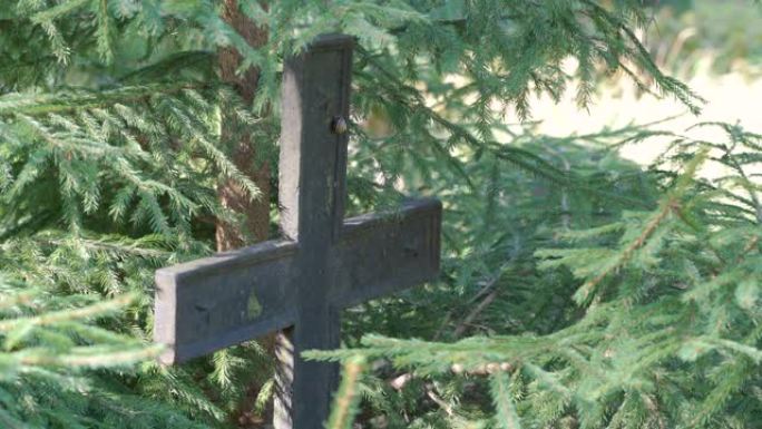 爱沙尼亚植物中部的金属十字架