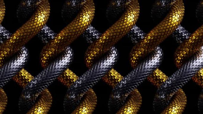 3d抽象背景与网，交错的金银蛇移动，金属鳞片纹理，循环动画