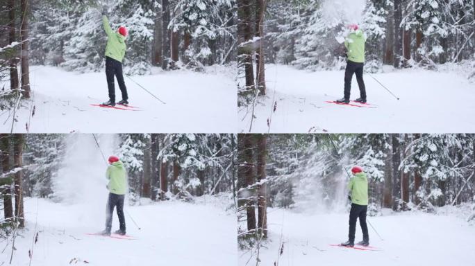 森林里的滑雪者。越野滑雪运动员享受白雪皑皑的森林，用杆子触摸树并制造降雪