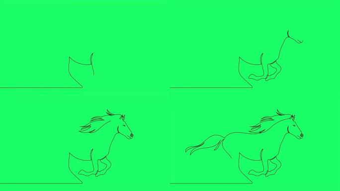 绿色屏幕上孤立矢量对象马连续单线绘制的自绘制动画