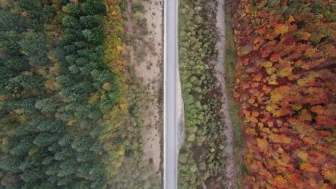 秋季天线。秋天，空中公路穿越一条空旷的蜿蜒山路，途经五颜六色的森林。