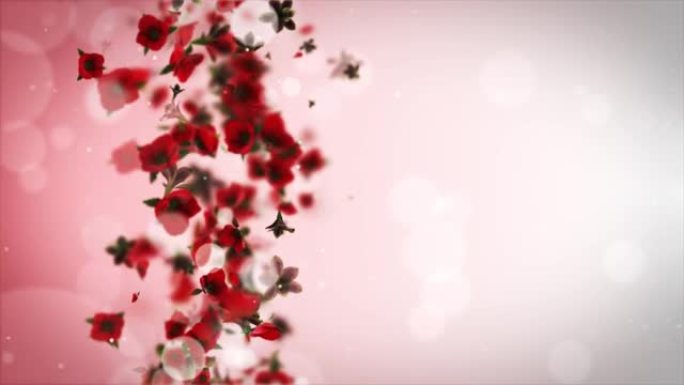动画花卉背景，系列