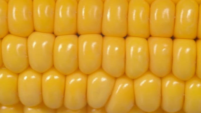 宏观视图黄色谷物玉米芯背景食品有机特写。将新鲜的甜玉米放在玉米棒上，为有机食品做准备。玉米种子质地，