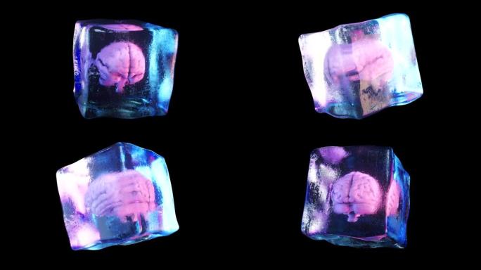 一个被冻住的大脑在一个旋转的冰块里。无缝循环3d渲染。