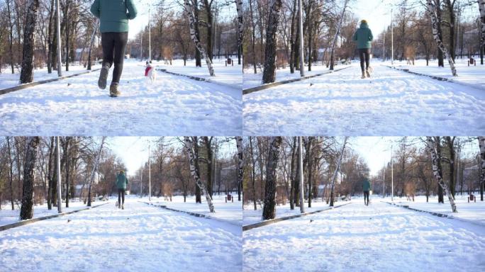 年轻女子穿着红色毛衣和杰克罗素梗一起跑步。穿衣服的小狗。冬天在公园里阳光明媚的下雪天慢跑。冬天做运动