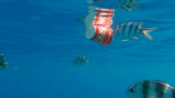 一只可口可乐红杯缓缓漂浮在水下，反射出蓝水热带鱼在它周围游动的表面。海洋污染。