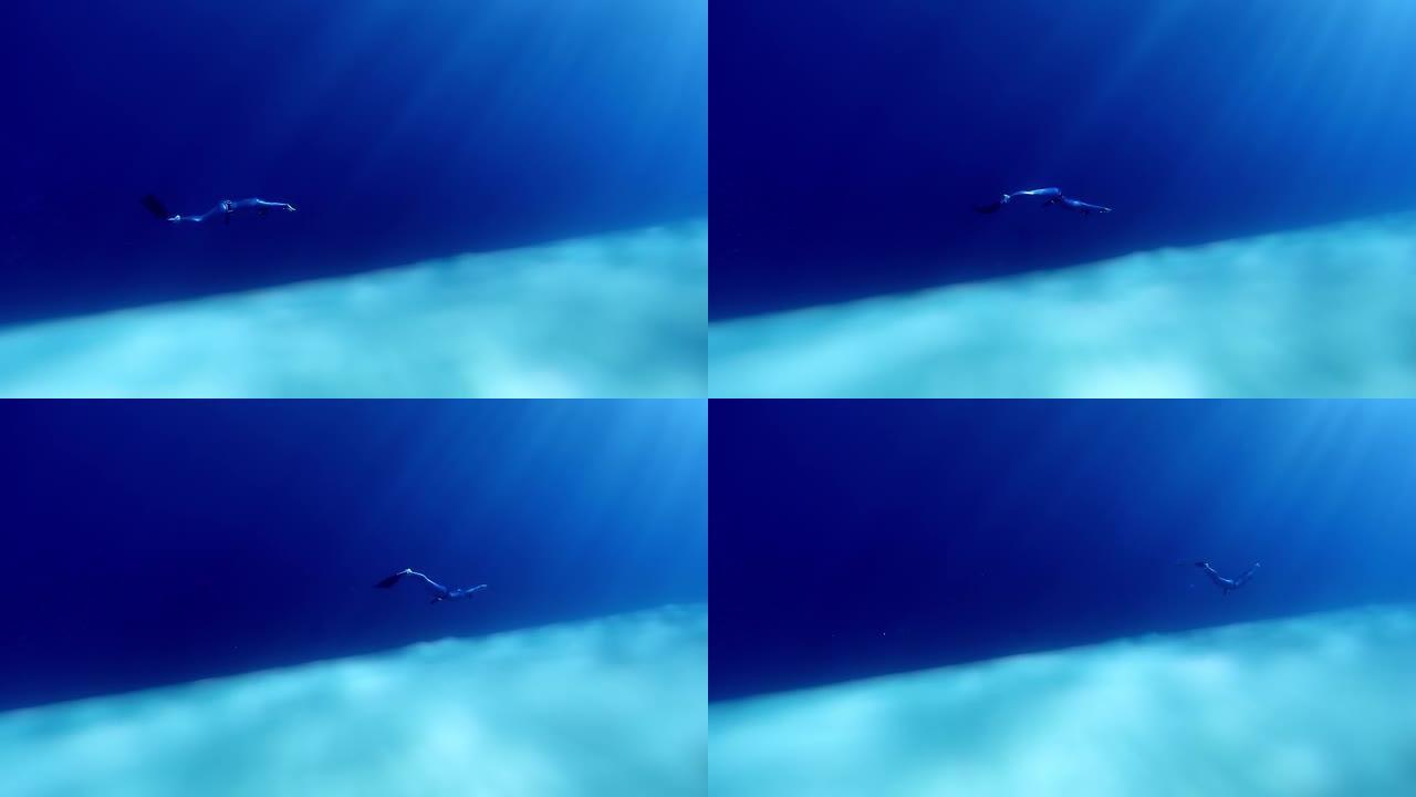 女自由潜水者在水下滑行。自由潜水员在沙底上与monofin一起在水下游泳。应用倾斜移位效应