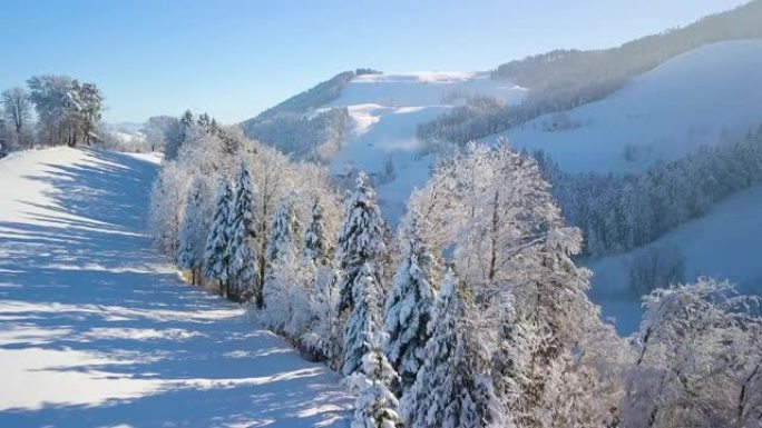 瑞士施维茨瑞士雪景的鸟瞰图。