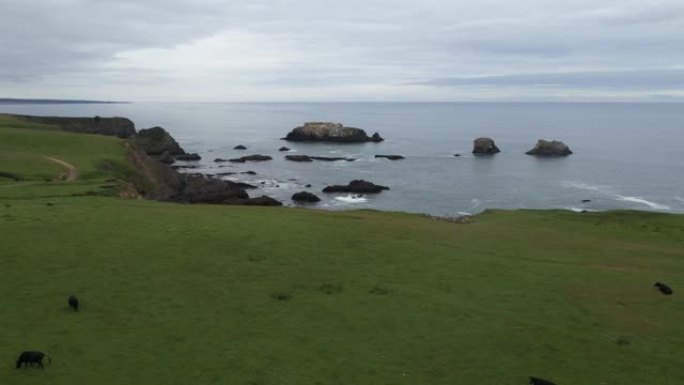崎岖的海岸线风景布拉格堡加州无人机景观