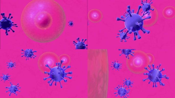 病毒感染细胞过程的3D动画。病毒攻击人/动物细胞的特写过程。