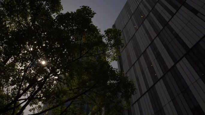 阳光明媚的日子杭州市区现代办公综合体前顶慢动作树视图4k中国