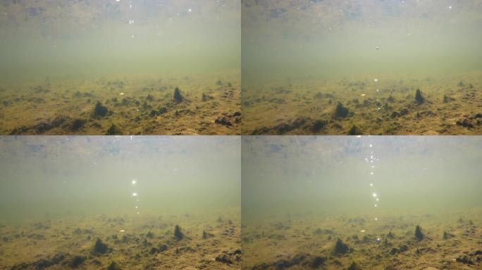 浅湖中的水下，气泡从地面冒出来