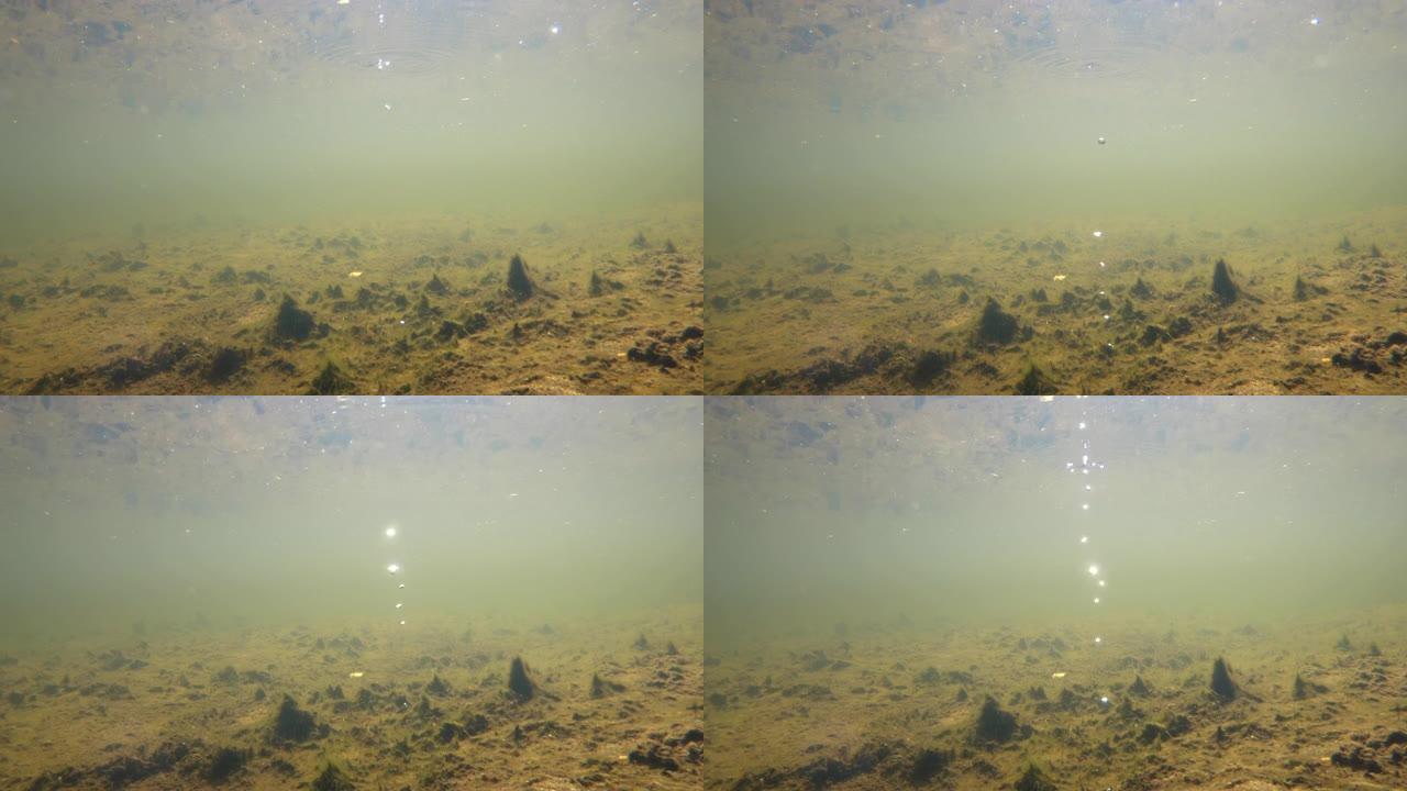 浅湖中的水下，气泡从地面冒出来