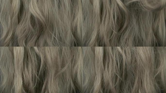 美丽的金色灰色长光滑卷发纹理背景的慢动作。