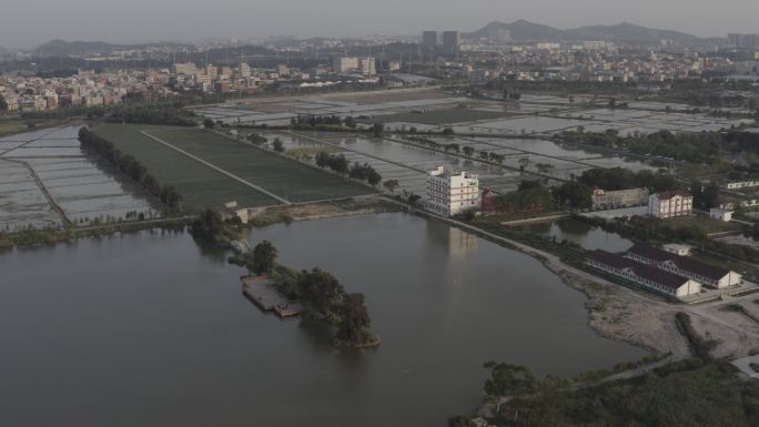 湿地 高铁 高铁跨海大桥 石狮海边