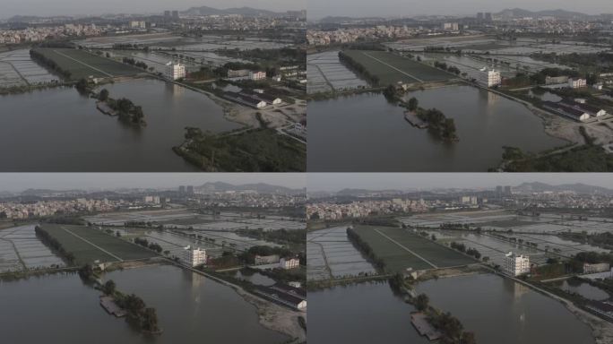 湿地 高铁 高铁跨海大桥 石狮海边