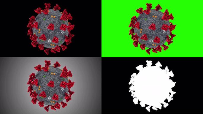 3D渲染动画，冠状病毒细胞新型冠状病毒肺炎流感在多背景色键绿屏上流动，黑色，白色，灰色，危险流感毒株