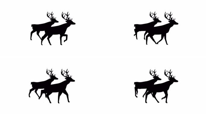 两只驯鹿在白色背景上行走的黑色剪影动画