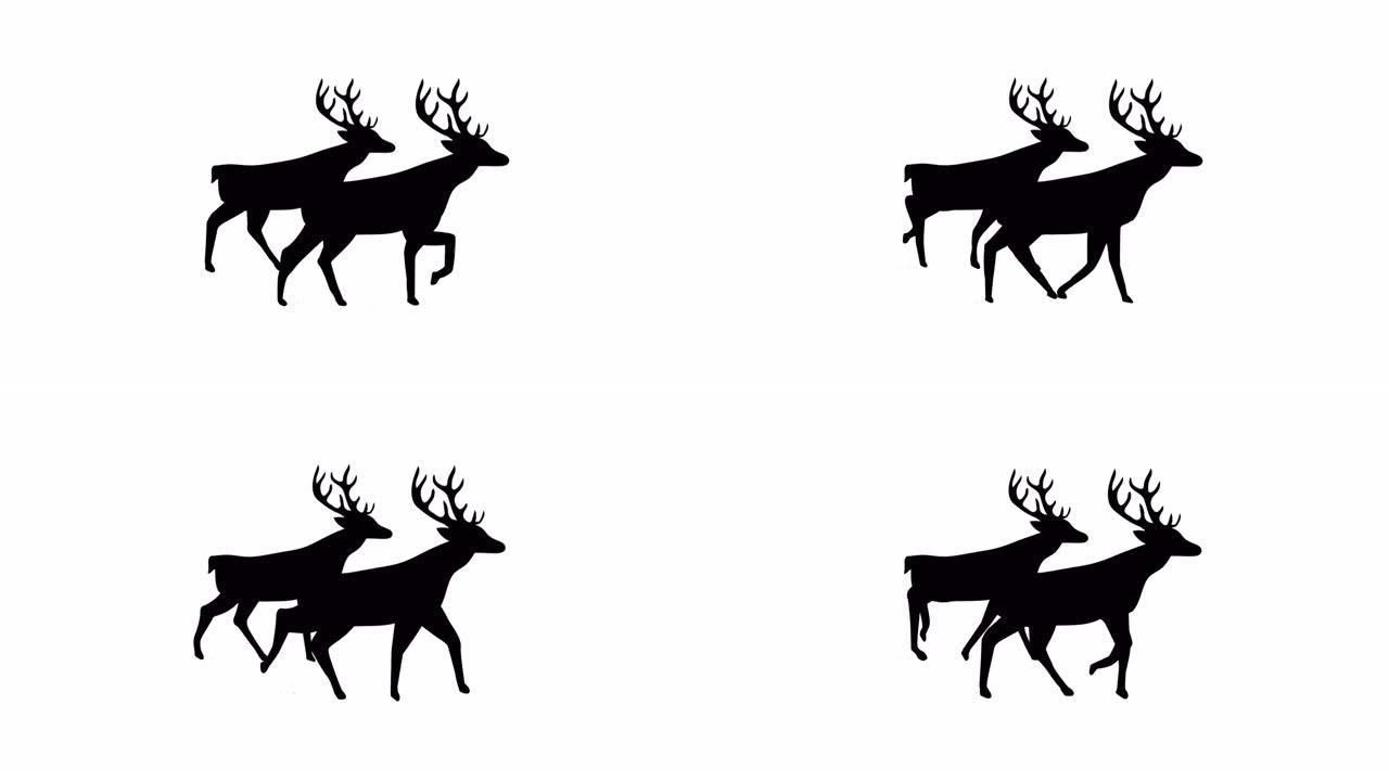 两只驯鹿在白色背景上行走的黑色剪影动画